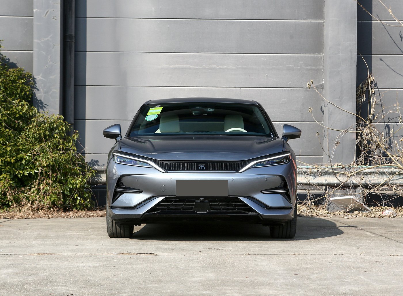 BYD Song L EV 2