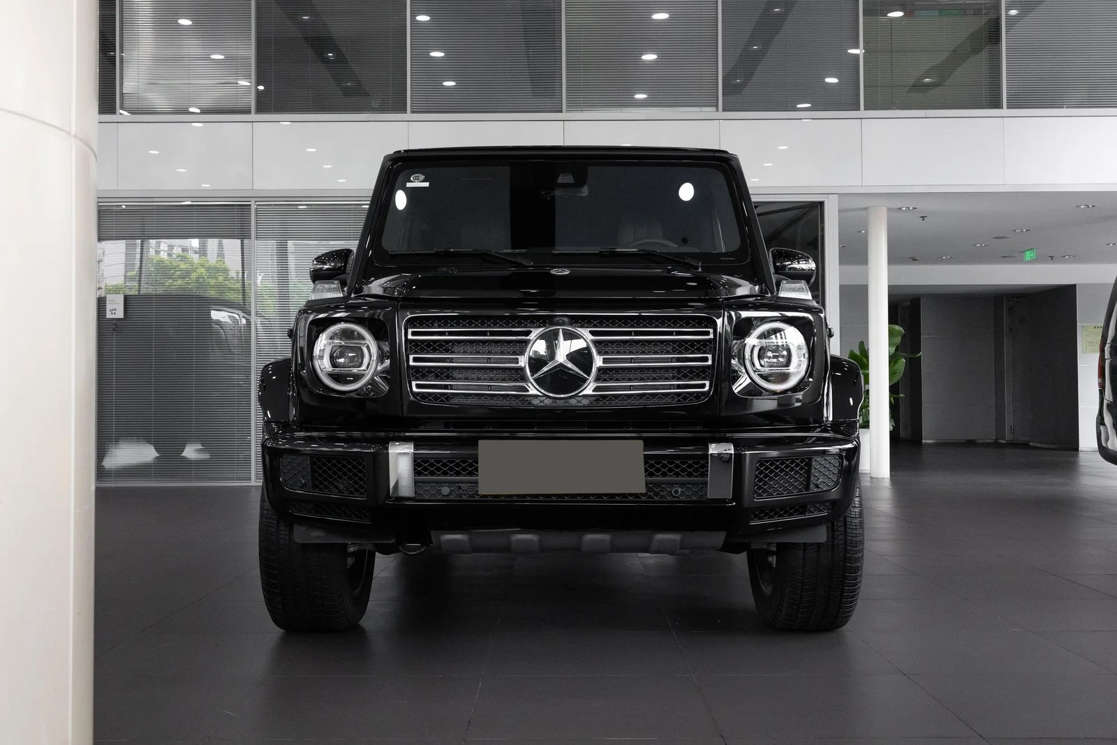Mercedes-benz G-Class 2