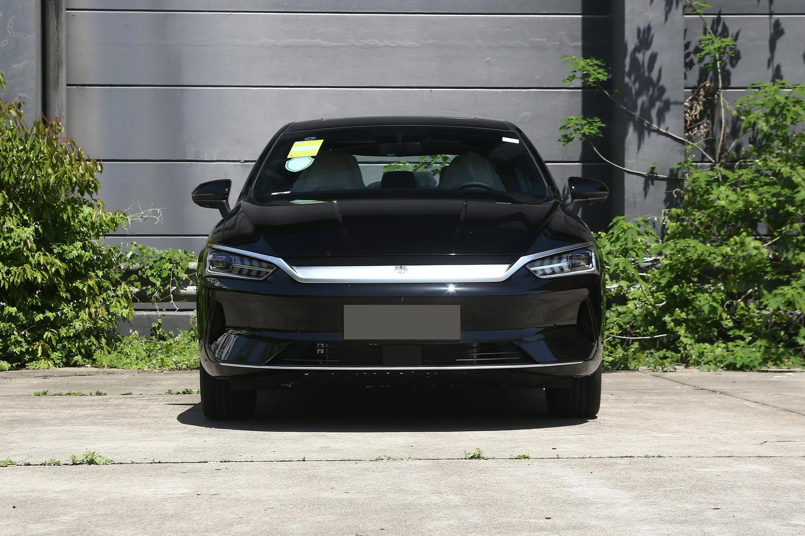 ‌ BYD Qin PLUS EV 2