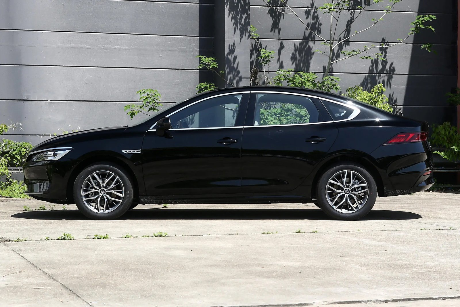 ‌ BYD Qin PLUS EV 3