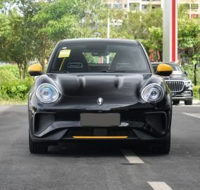 ORA Good cat GT 2