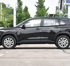 Toyota Fernanda 3